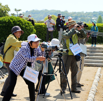 海浜公園で開かれた探鳥会