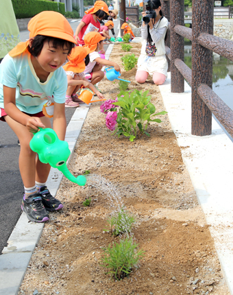 手植えした花苗に水を与える園児