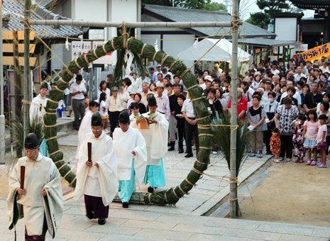 茅の輪をくぐって無病息災を祈願した「輪越しまつり」