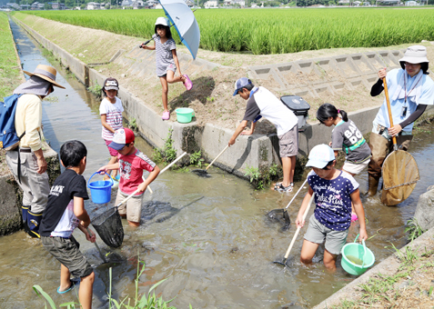 生態系チェックを目的に周世地区で行われた生物調査