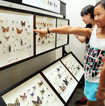 昆虫や植物の標本が並ぶ海洋科学館の特別展