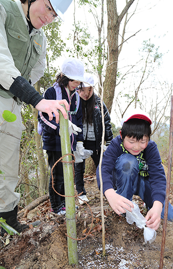 坂越小児童も参加して行われたサクラの植樹活動
