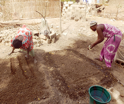 収穫できる日を楽しみしながら行った種まき作業