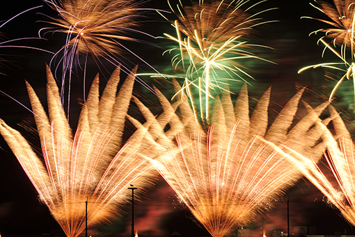 コウノトリ写真コンクール最優秀賞に輝いた「花火見物」=寺坂好司さん撮影