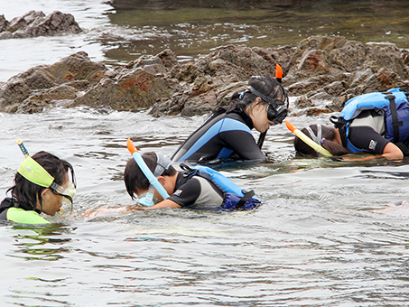 海の生き物を観察したシュノーケリング体験
