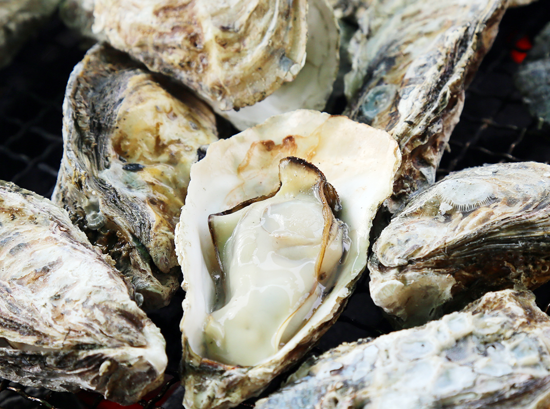 出前かきまつりで振る舞われた焼きガキ