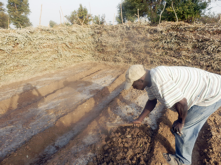 乾期農業へ向けた整地の様子
