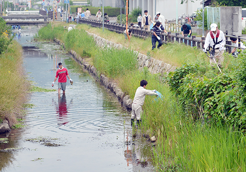 地域住民が参加して行われた加里屋川の清掃奉仕活動=赤穂市提供