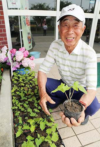 「アサガオの花は気持ちを癒して元気にしてくれます」と話す安川昭雄さん