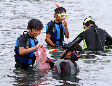 シュノーケルで海を泳いだ生き物観察会
