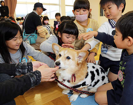 子どもたちが犬と交流した動物愛護教育