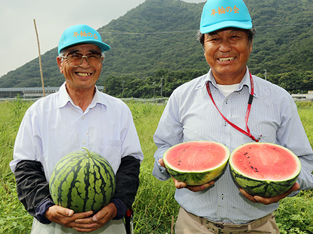 「例年以上の甘さ」という大津スイカ
