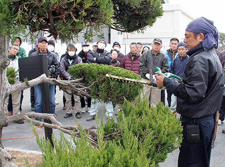 庭木手入れのコツをプロから教わった講習会