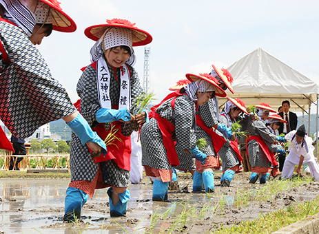 梅雨晴れの下行われた「お田植祭」