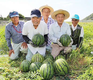 「数は少ないけれど味は例年以上」という大津スイカ