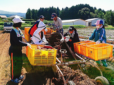 被災した農家でサツマイモの出荷作業を手伝った生徒たち＝赤穂高校提供