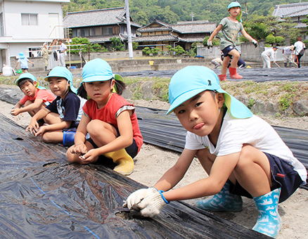 綿の種まきを体験した赤穂西幼稚園児