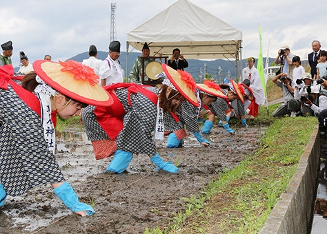 豊作を願って早乙女が苗を手植えした「お田植祭」