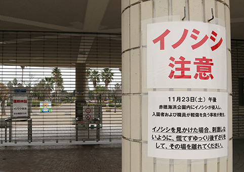 イノシシの出没によって臨時休園した赤穂海浜公園