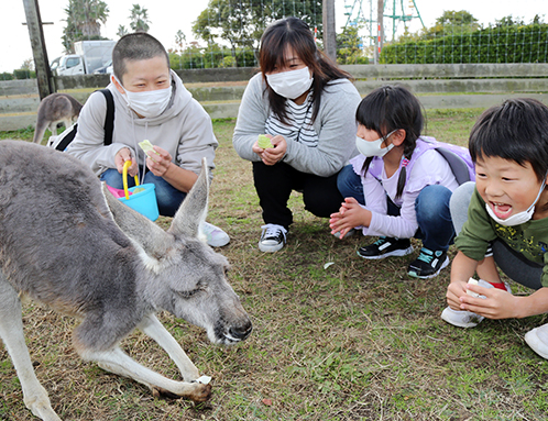 営業最終日も親子連れが動物たちとの触れ合いを楽しんだ「動物ふれあい村」