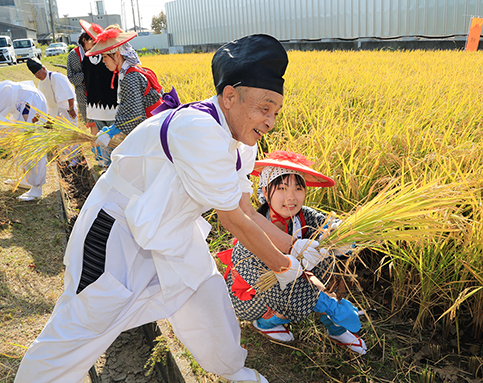 古式に則り早乙女や田男らが稲を収穫した「抜穂祭」
