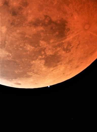 地球の影になった月に天王星が隠れる寸前の天体写真＝１１月８日午後８時２８分、前田邦稔さん撮影