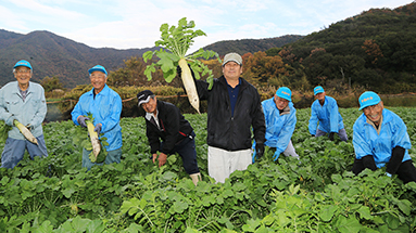 自慢のダイコンを栽培した「大津年輪の会」のみなさん