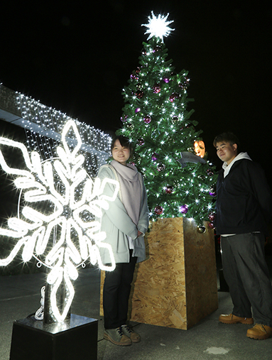 関西福祉大学に設置されているクリスマスイルミネーション