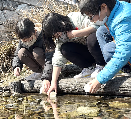 加里屋川のビオトープでホタルの幼虫を放流する児童たち