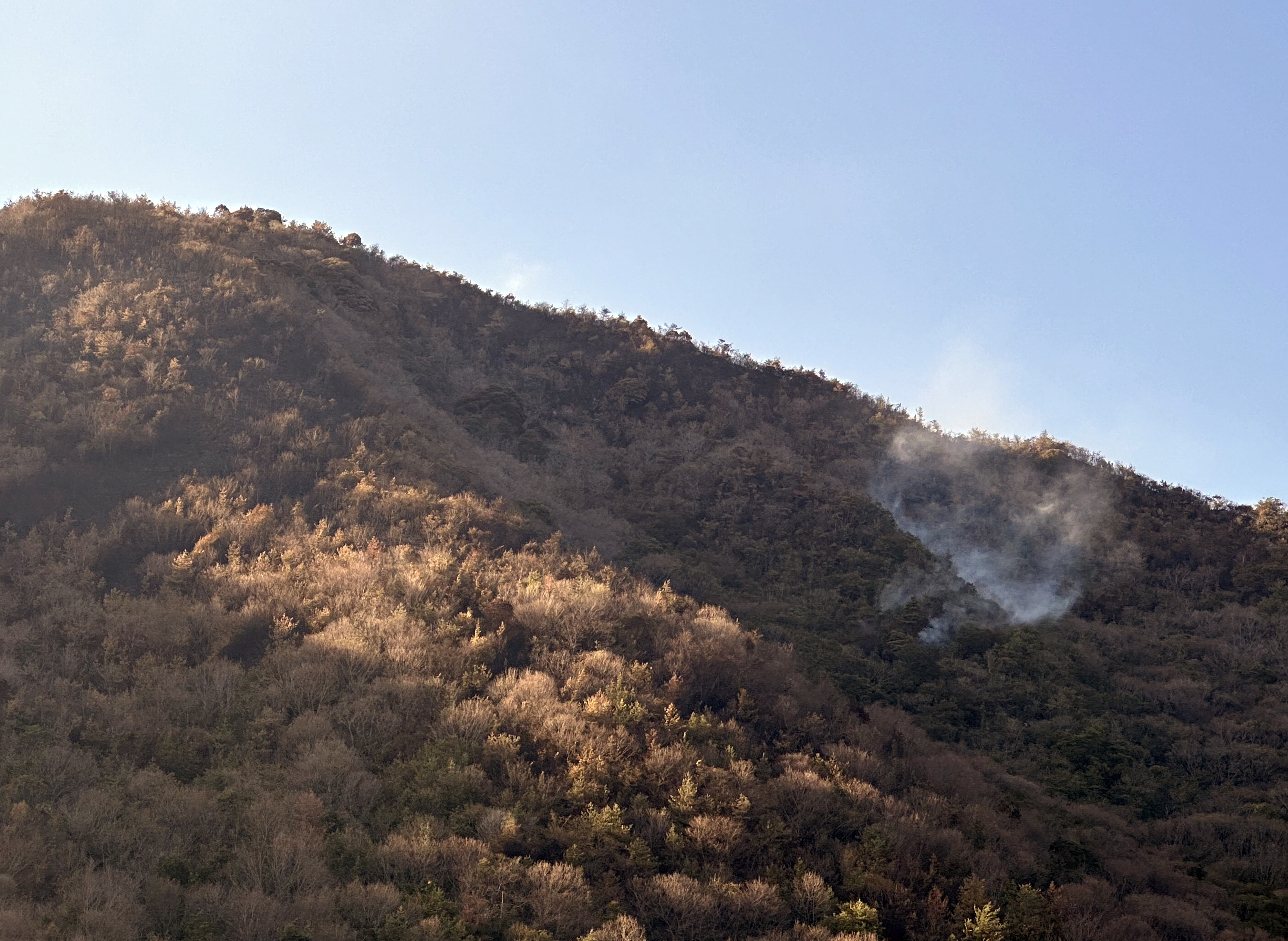 一旦鎮火した山火事が再燃した可能性がある黒鉄山＝３月１５日午後４時ごろ