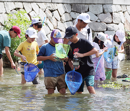 網の中に生き物がいないか熱心に見つめる児童たち