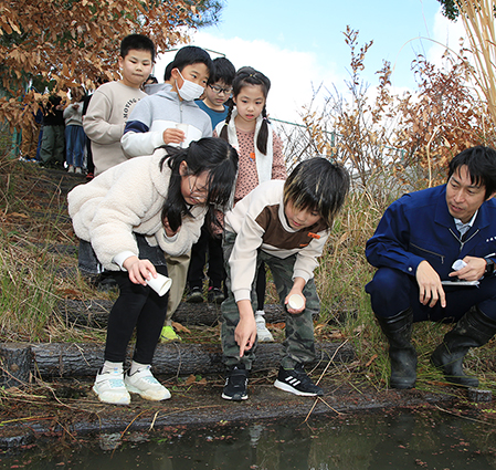 加里屋川にホタルの幼虫を放流する赤穂小の児童たち