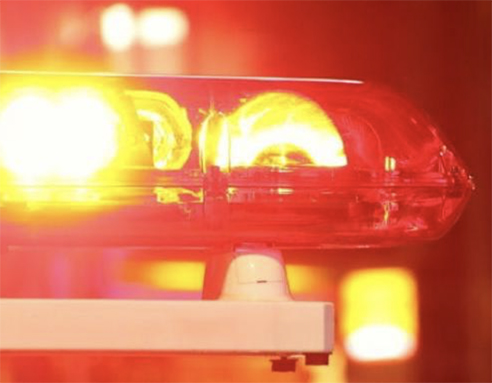 ��Τ���ι�ƻ���� �֤���ԼԾ��͡���������������˴